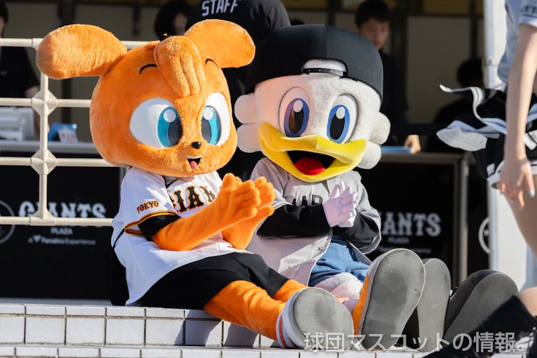 検索数が増加したビジター試合出演-2026前半戦-