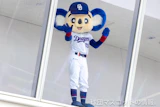 ドアラ