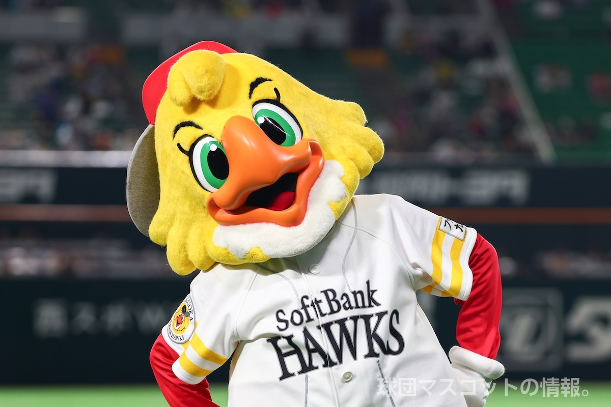 ハックホークのプロフィールとスケジュール｜球団マスコットの情報。