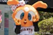 シスタージャビット