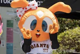 シスタージャビット