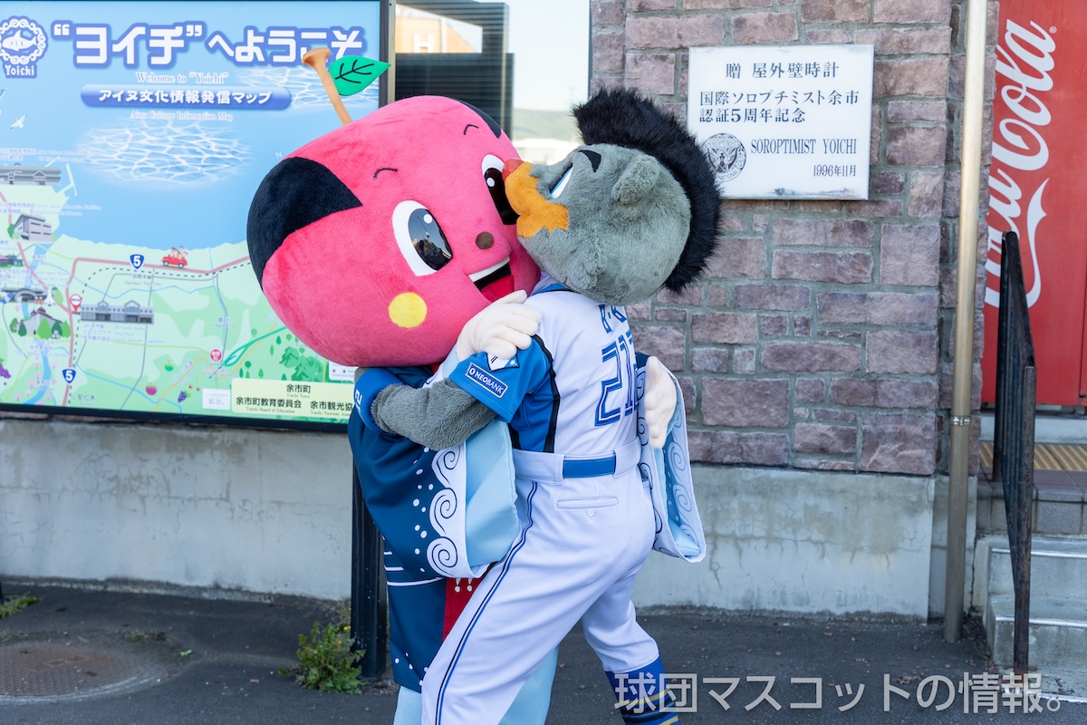 B・Bさんにかぶりつかれるソーラン武士さん(余市町)