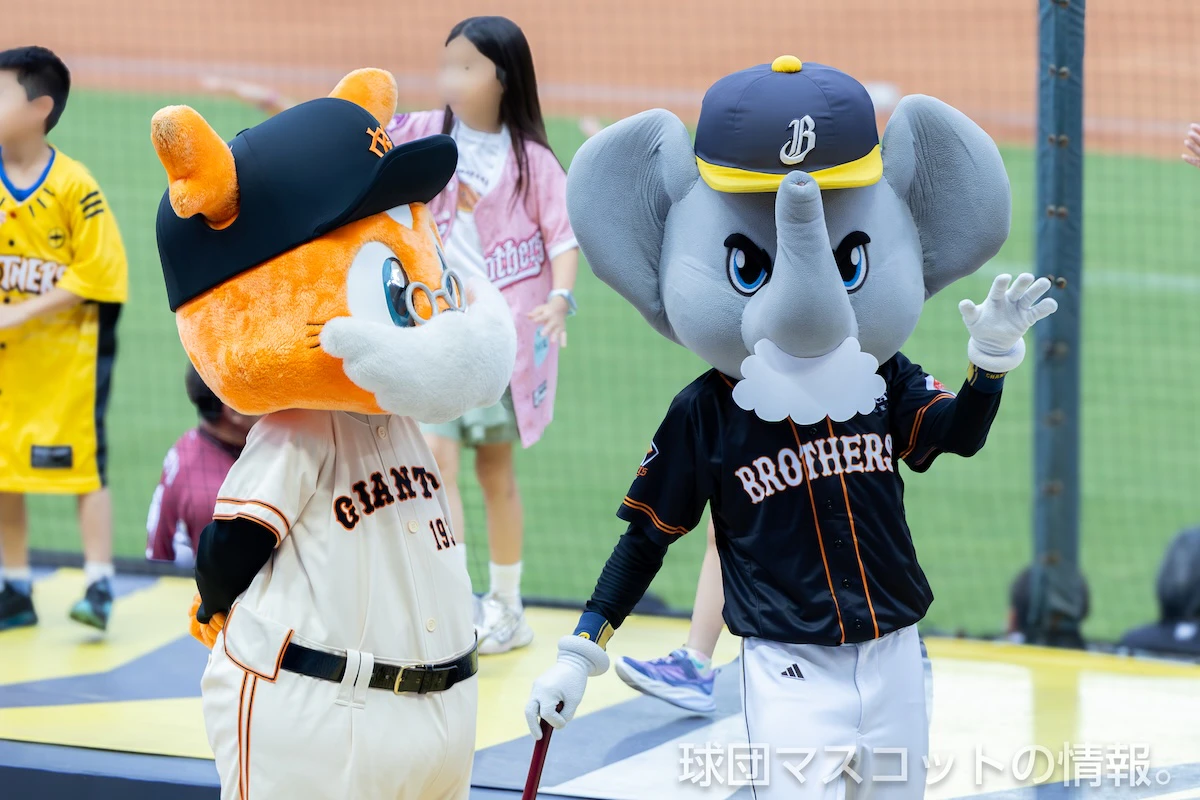 おじいちゃんジャビットの画像 4枚目