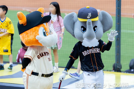 333ジャビット、キッズジャビットおんなのこ、おじいちゃんジャビット [CPBL]中信対樂天