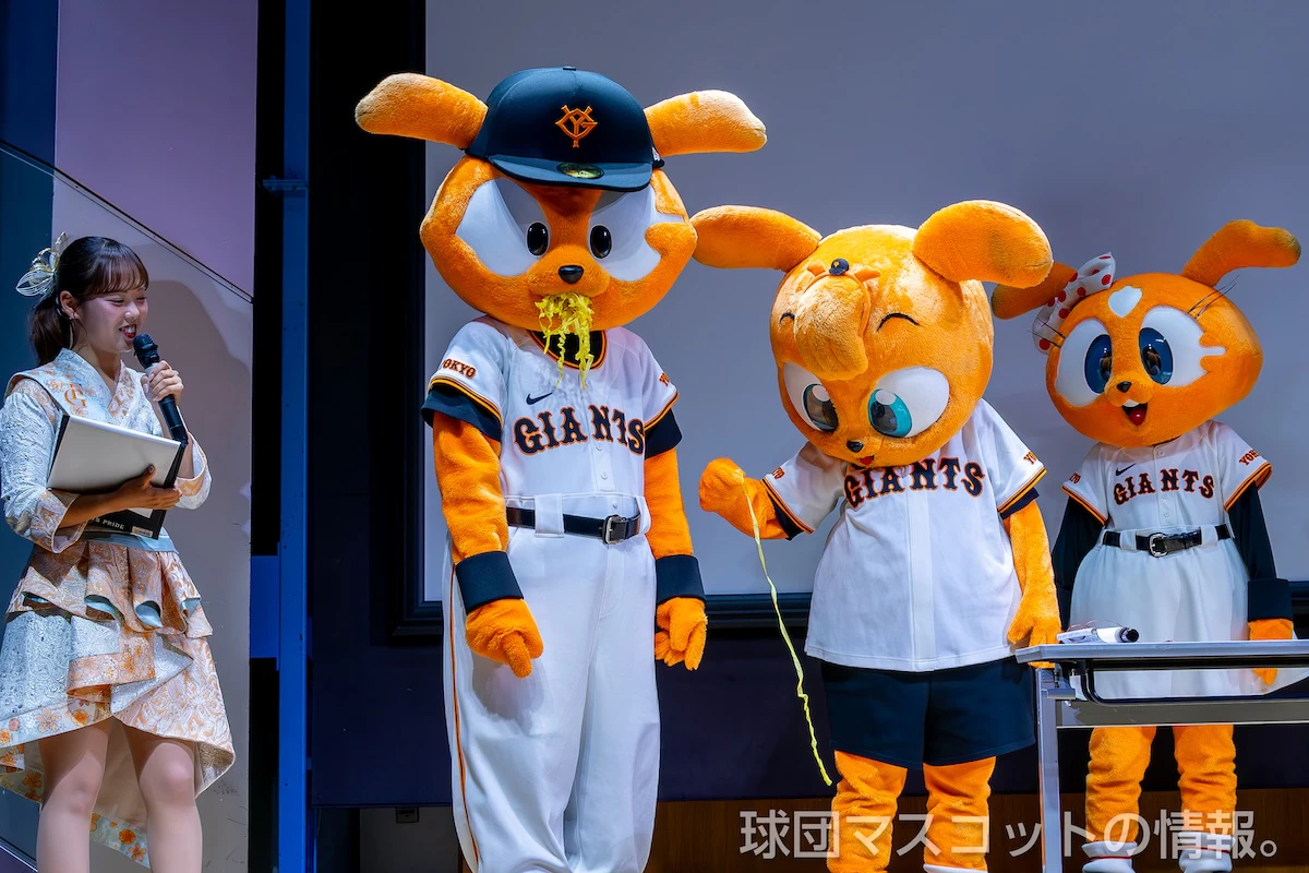 333ジャビットの画像 2