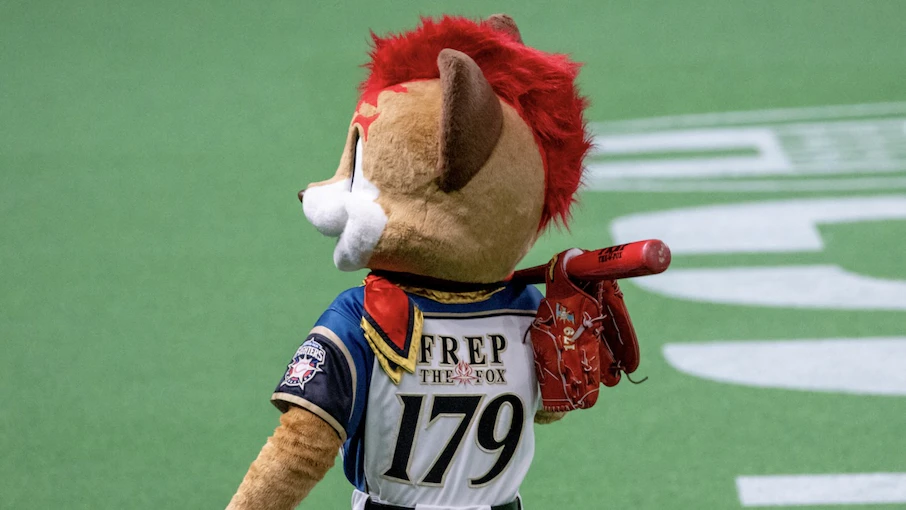 球団マスコットさんの人気・知名度はどう決まるのか