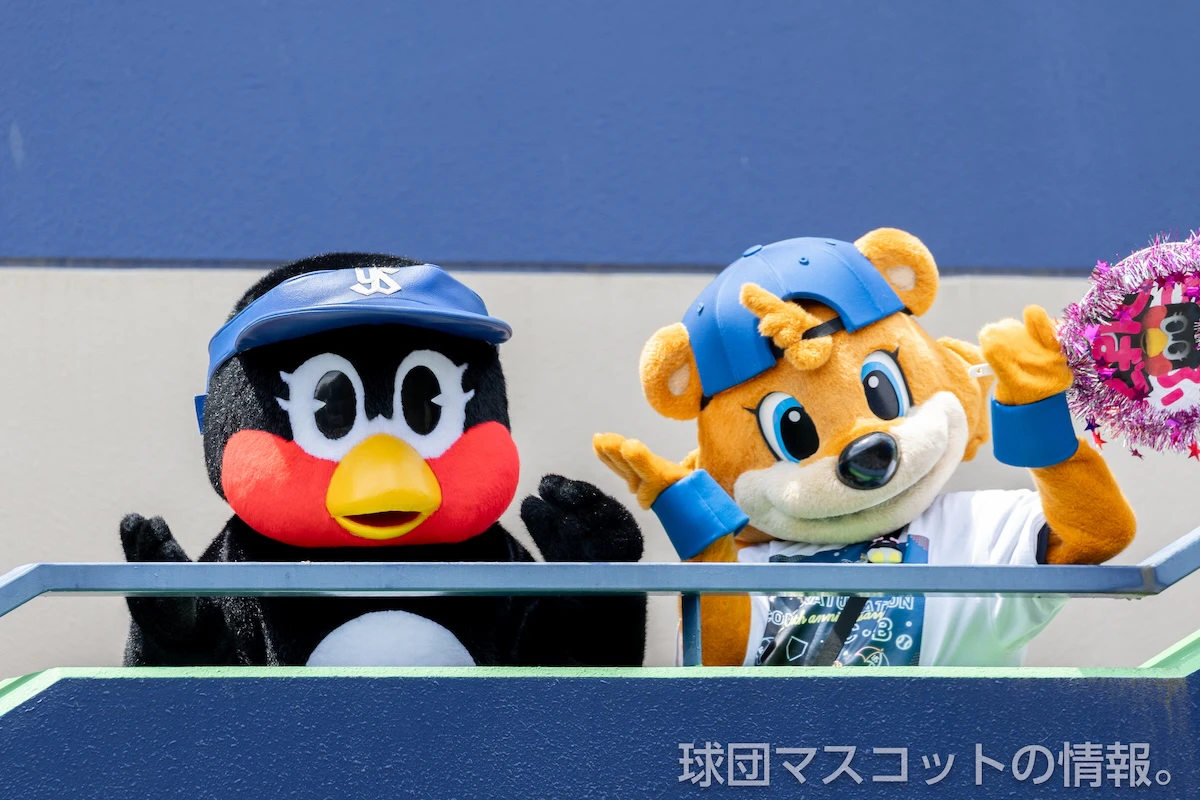 カビーの画像 15枚目