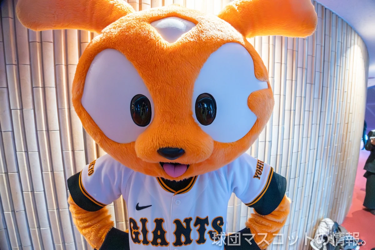 555ジャビットの画像 3枚目