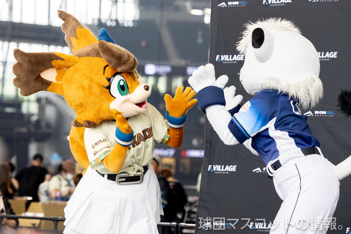 ライナのプロフィールと出演カレンダー｜球団マスコットの情報。