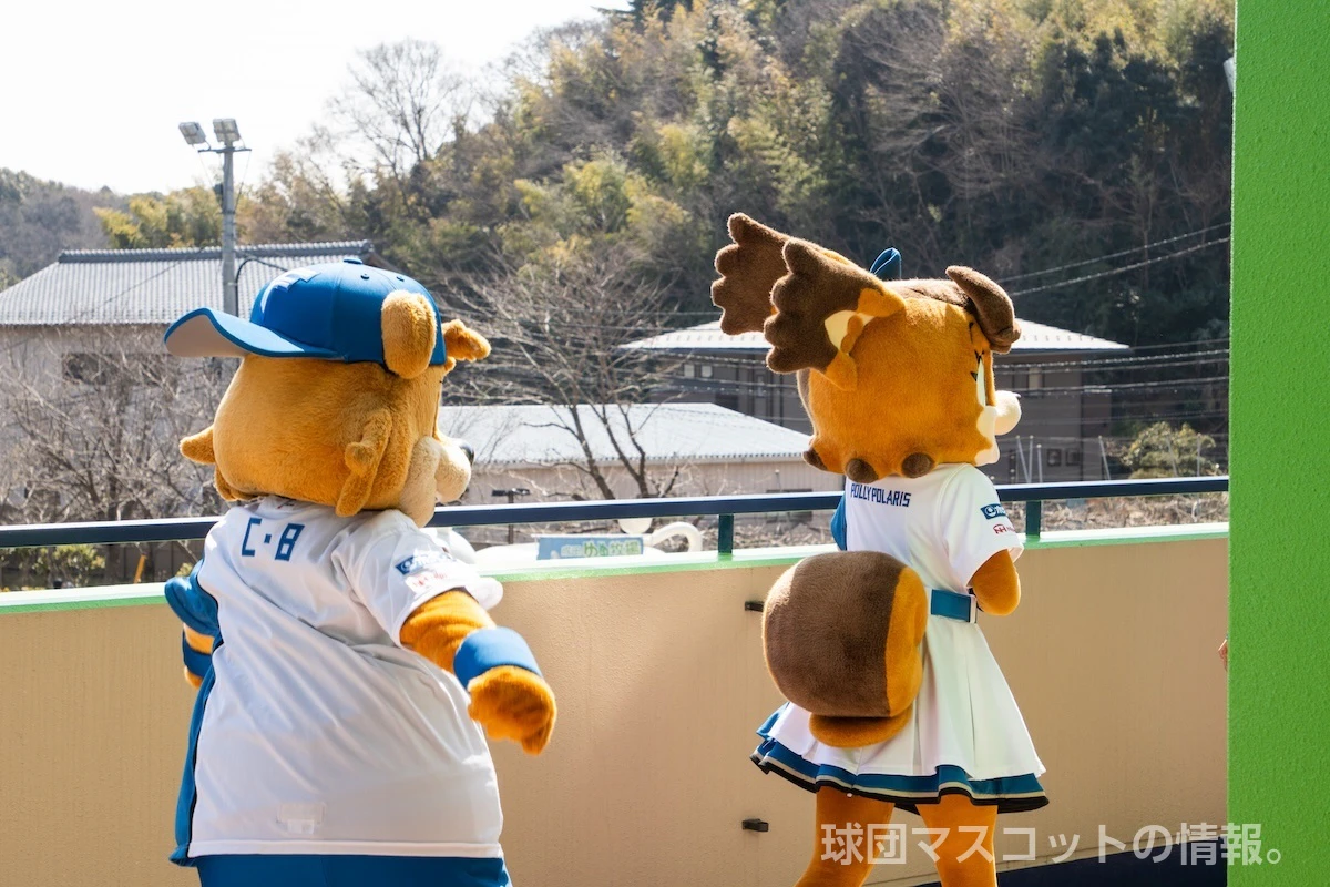 カビーの画像 2