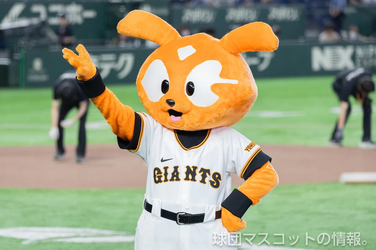 555ジャビットの画像 5枚目