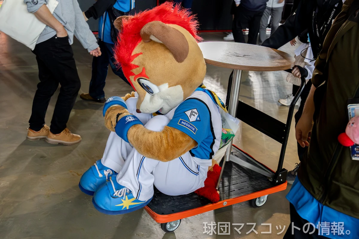 フレップの画像 8枚目