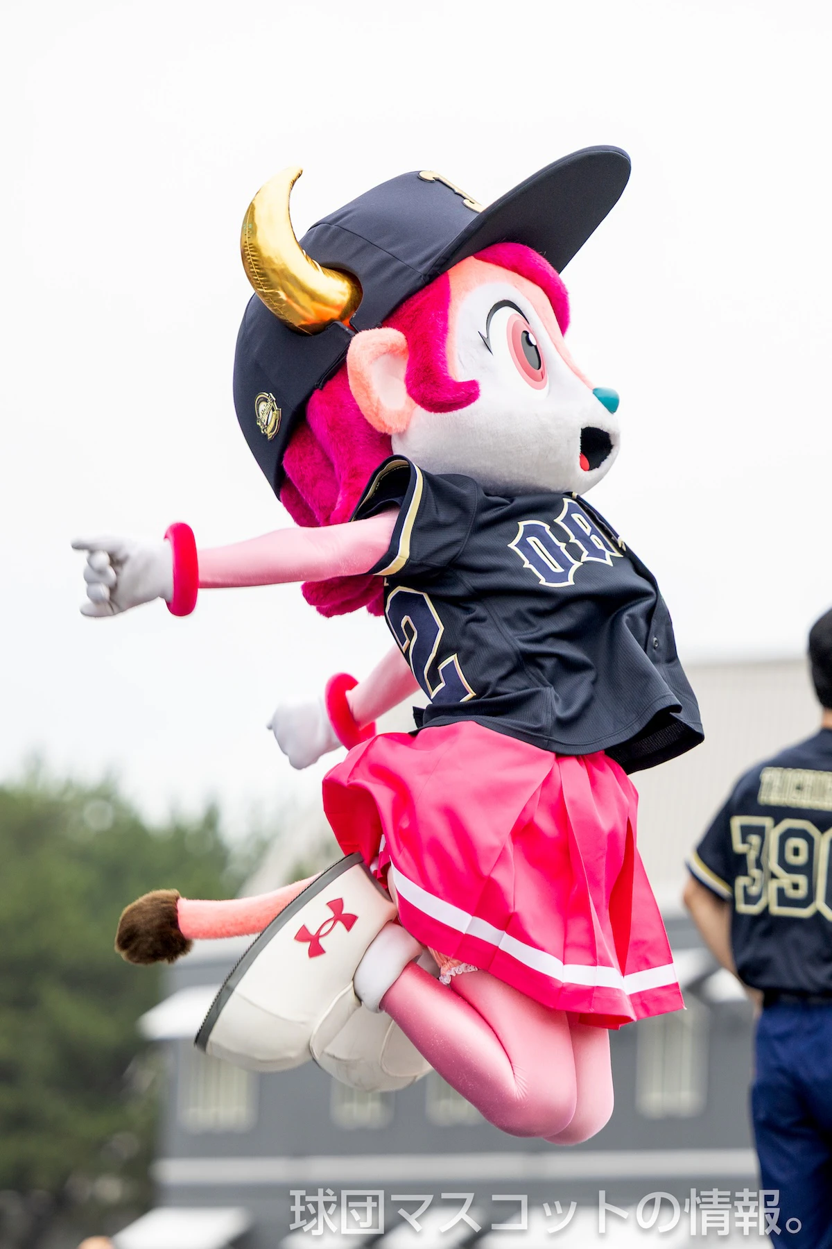 バファローベルの画像 6枚目
