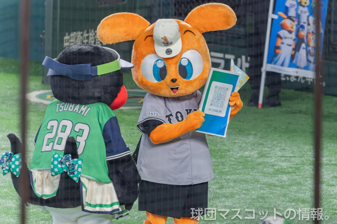 333ジャビット、555ジャビット、シスタージャビット、キッズジャビットおとこのこ、キッズジャビットおんなのこ、おじいちゃんジャビット、つばみ 巨人対ヤクルト
