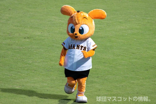 キッズジャビットのサムネイル