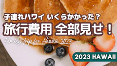 【円安のリアル】子連れハワイ、家族旅行の総額費用大公開！旅費と節約術