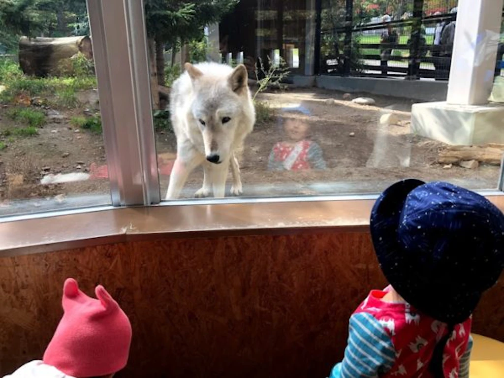 動物園
