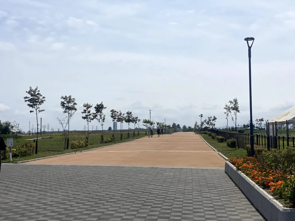 道路