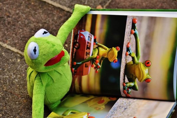 読書