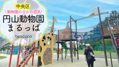 【2023最新】ヘビロテ中！オリジナル遊具が楽しすぎる≪札幌市円山動物園≫