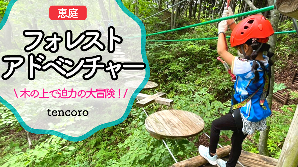 恵庭フォレストアドベンチャー　【実体験/料金口コミブログ】アスレチック好きはGO！