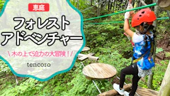 恵庭フォレストアドベンチャー　【実体験/料金口コミブログ】アスレチック好きはGO！