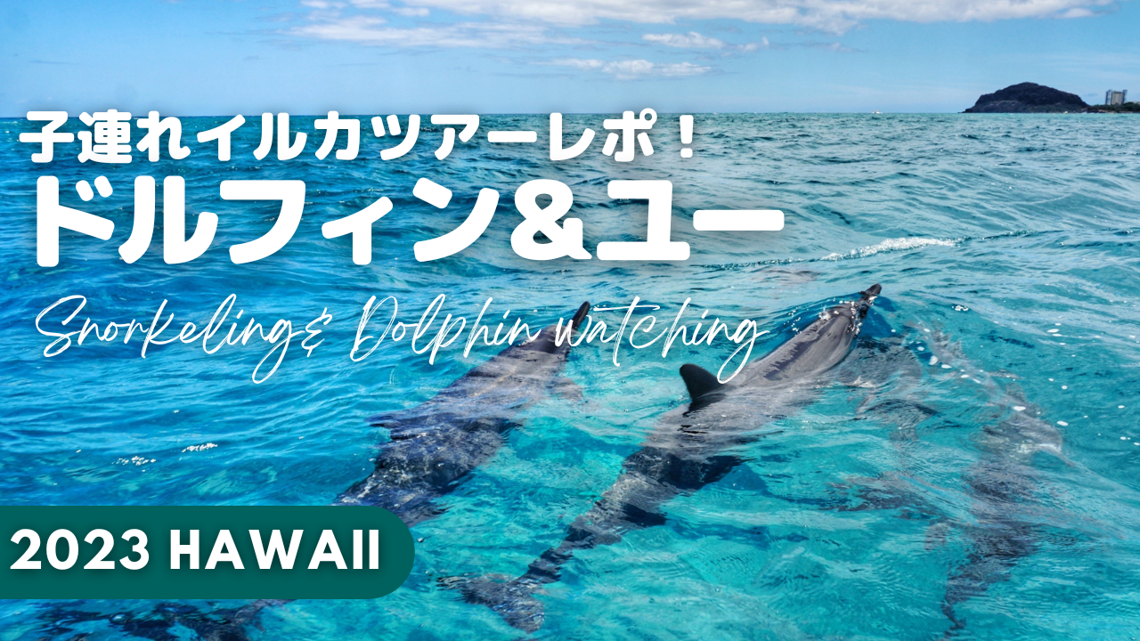 【子連れハワイ】野生のイルカツアー体験＆シュノーケリングレポ！年齢制限・持ち物と船酔い対策