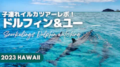 【子連れハワイ】野生のイルカツアー体験＆シュノーケリングレポ！年齢制限・持ち物と船酔い対策