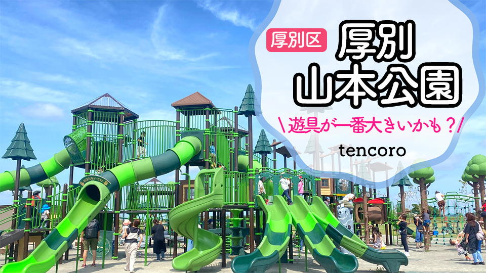 【2026最新】厚別山本公園の巨大遊具レポ！駐車場からの距離・幼児エリアも徹底解説