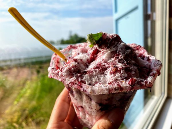 押谷ファーム　カフェ　ブルーベリー