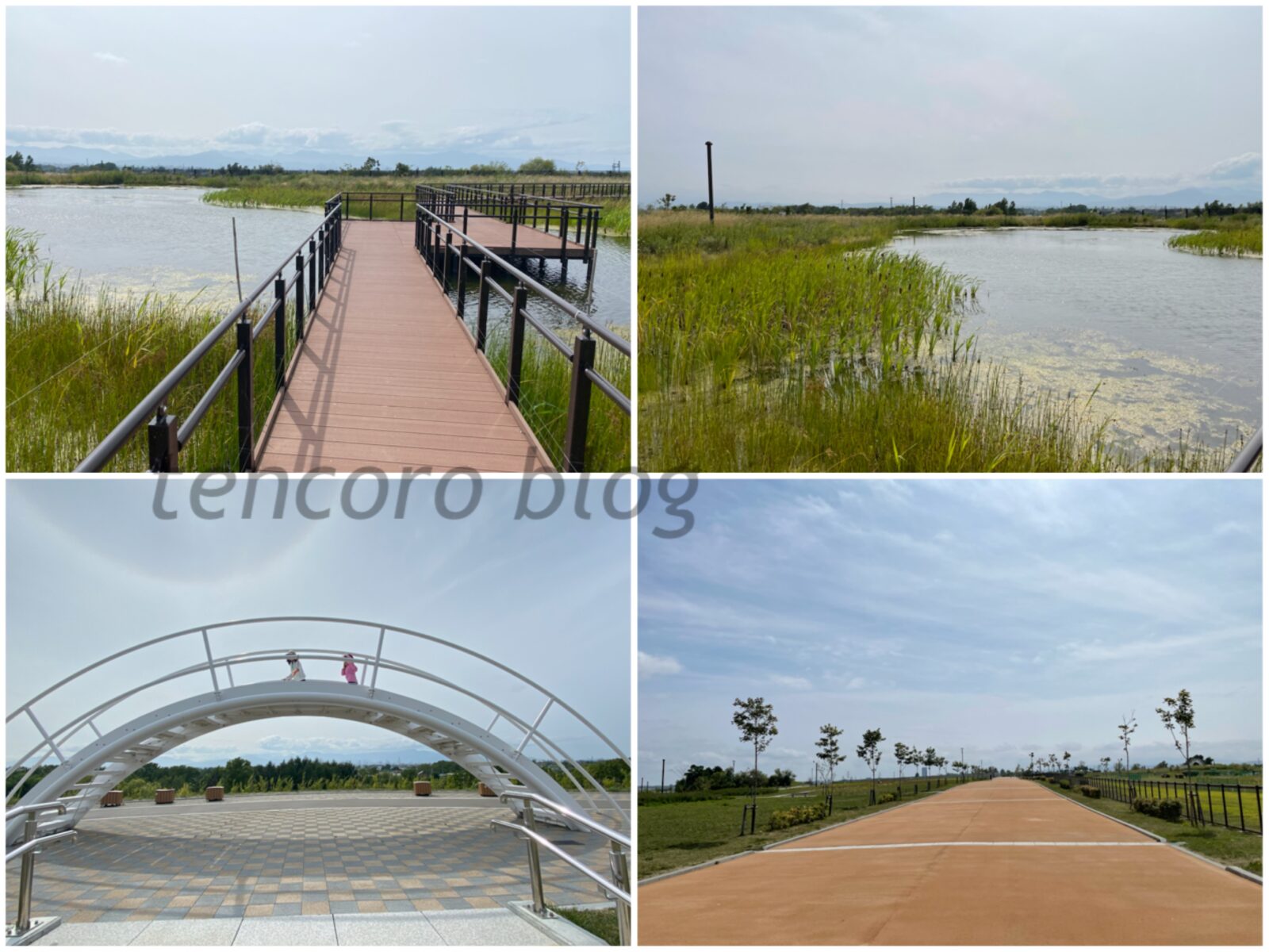 札幌　公園 厚別山本公園　ビオトープ　