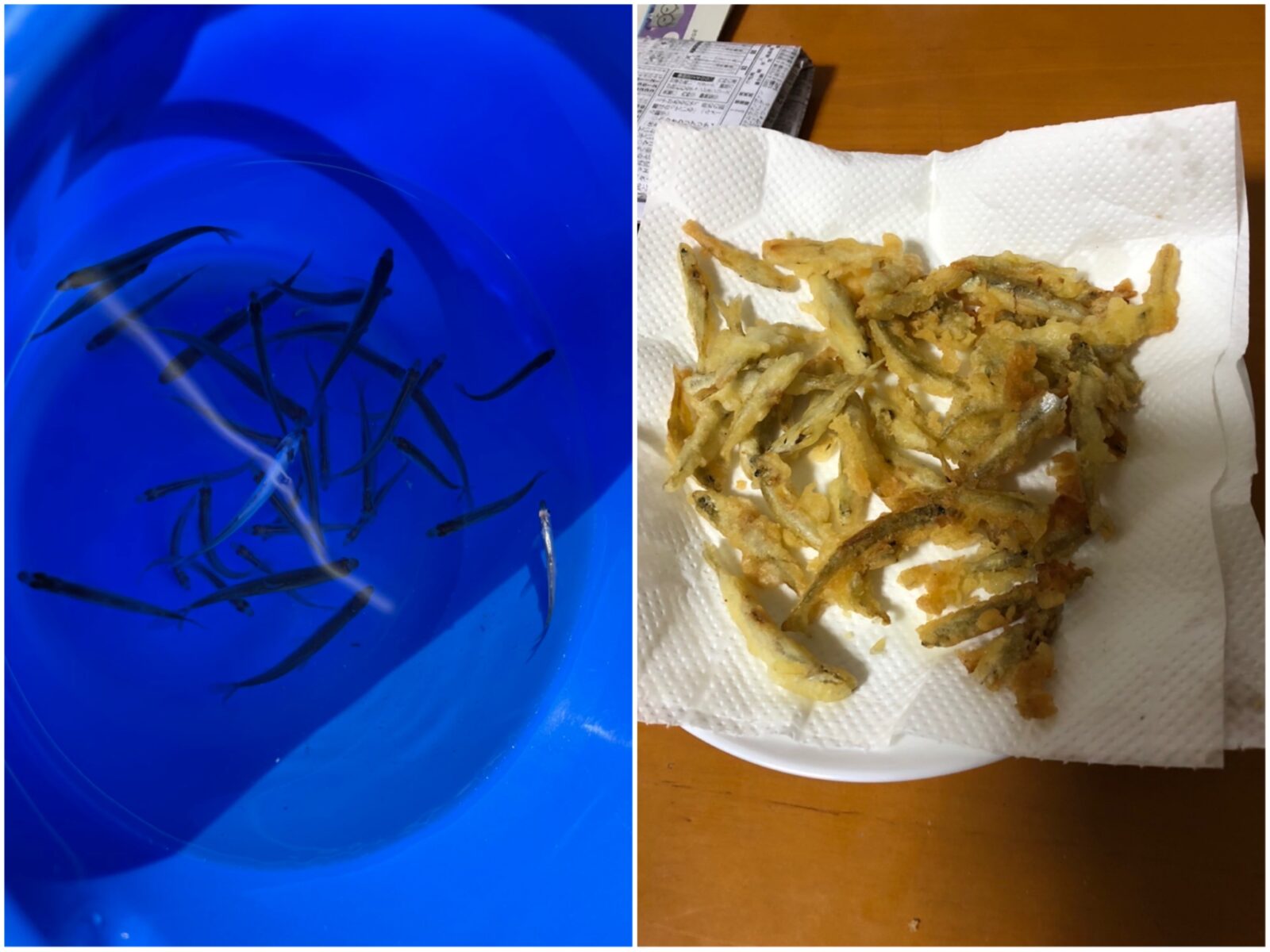 ワカサギ釣り　苫小牧　北海道　天ぷら