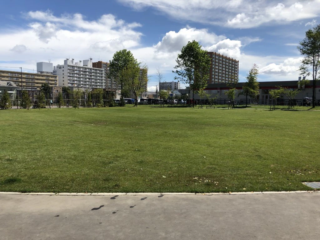 発寒西公園の広い原っぱ