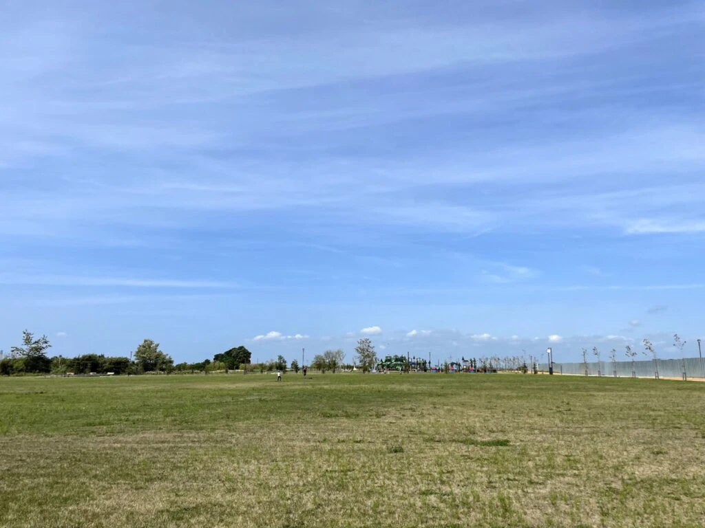 芝生