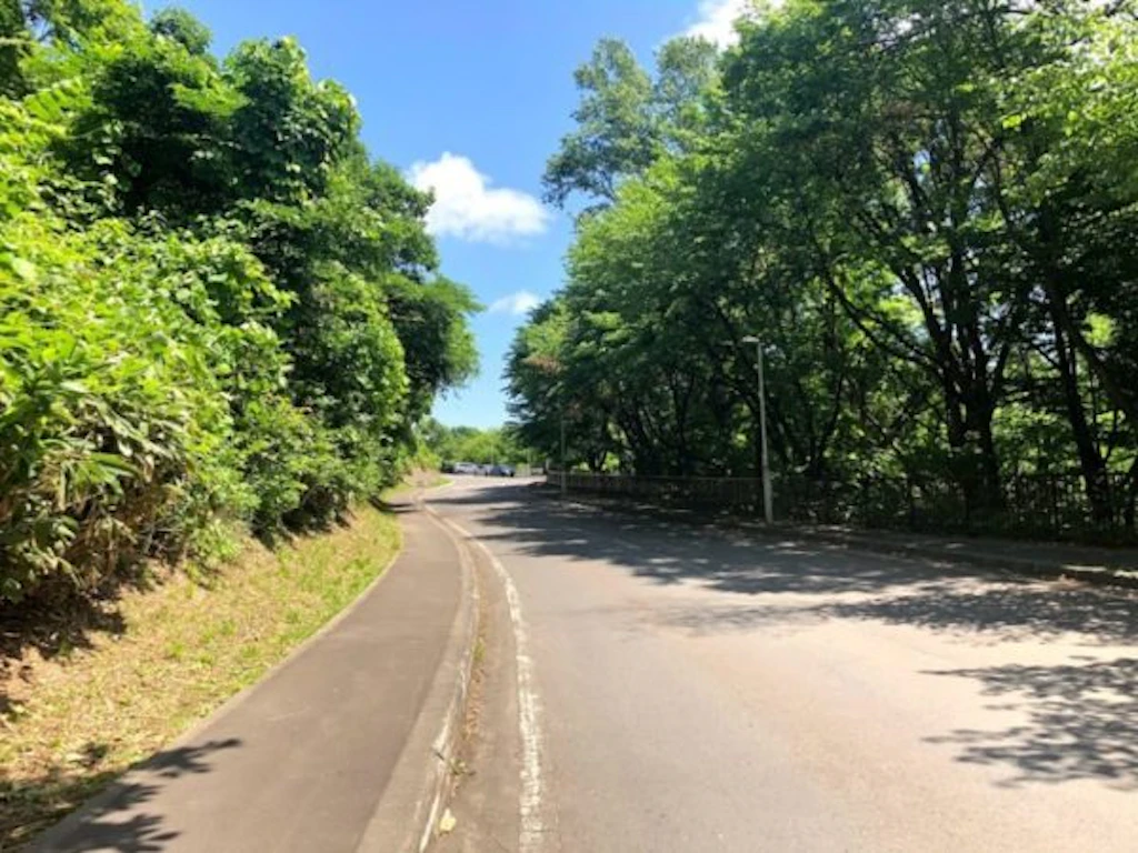 公園への通路