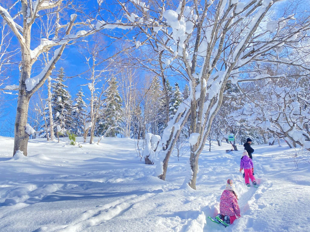 滝野すずらん丘陵公園　スノーシュー　冬　体験　無料　アウトドア