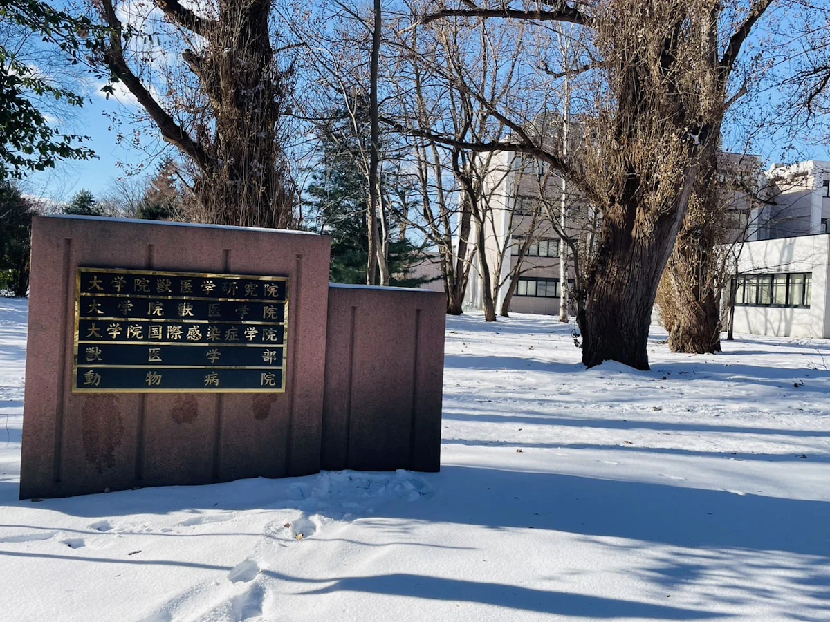 北海道 大学 獣医 学部