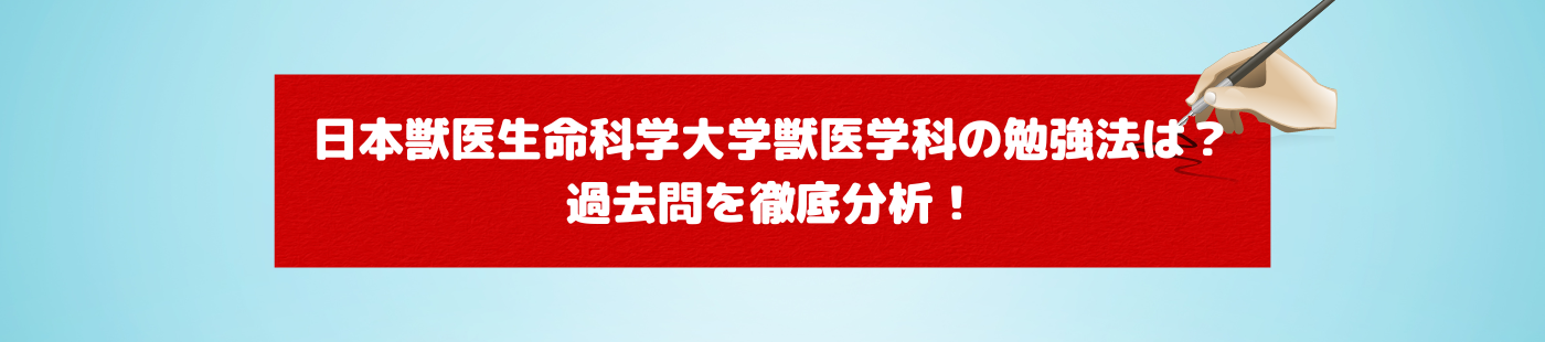 日獣まとめ 獣医 R4 日獣まとめ 獣医 R4 日獣 まとめ R4 日獣 まとめ R4 受験生向けイベント