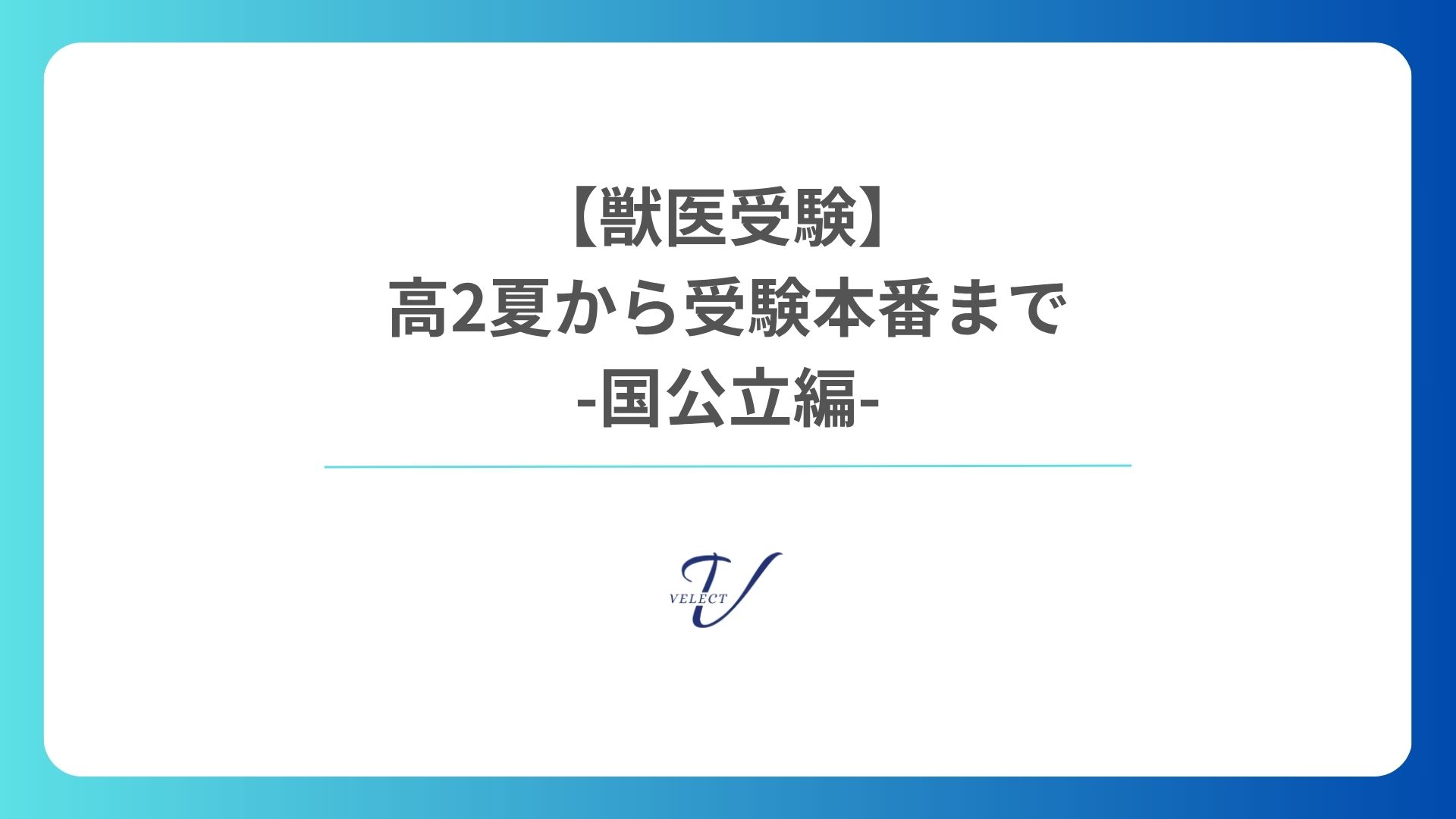 獣医学生が解説】2026年度 北海道大学獣医学部の最低合格点と勉強法