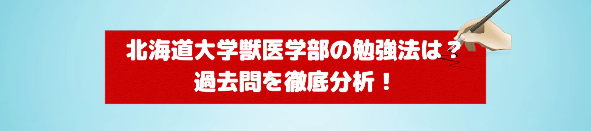 2023-2021】北海道大学獣医学部の勉強法は？過去問合格点を徹底分析 