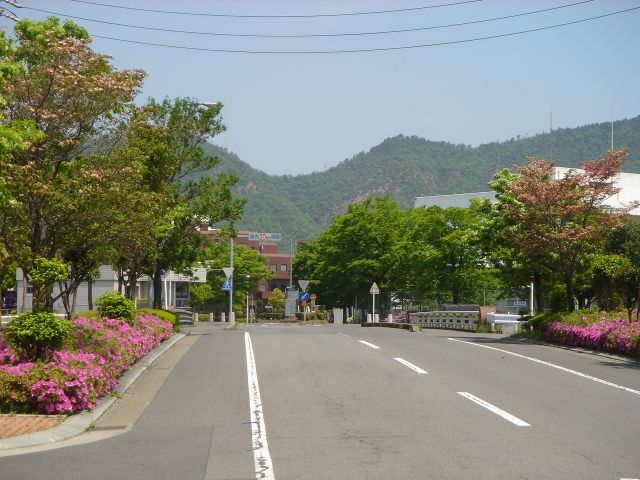 獣医学生が解説】2026年度 岐阜大学獣医学科の最低合格点と勉強法