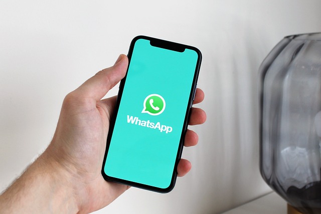 スマートフォン, whatsapp, アプリ, 電話, 社会的なメディア, テクノロジー, メッセージング, チャット, コミュニケーション, モバイル, インターネット, デジタル, コンタクト, スマートフォン, スマートフォン, スマートフォン, スマートフォン, スマートフォン, アプリ, アプリ, アプリ, アプリ, チャット, チャット
