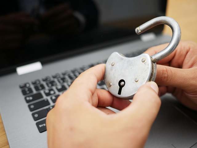 インターネット, 安全, 城, サイバー, プライバシー ポリシー, インターネットセキュリティ, パスワード, 犯罪, データ, テクノロジー, 通信網, オンライン, ハッカー, デジタル, バックアップする, コード, 保護, マルウェア, システム