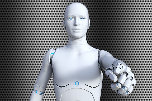 ロボット, サイボーグ, 未来的, アンドロイド, サイバネティクス, 知能, グレーロボット, ロボット, ロボット, ロボット, ロボット, ロボット, アンドロイド