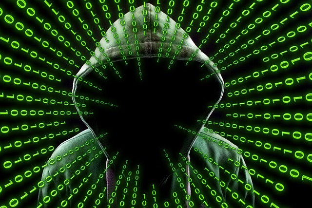 ハッカー, 攻撃, マスク, インターネット, 匿名, バイナリ, 一, サイバー, 犯罪, サイバネティクス, 人工知能, 関数, 回路, デジタル, インテリジェント, 未来的, コンピュータサイエンス, テクノロジー, 零, ロボット, 大陸, 地球, 世界, バイナリ コード, バイナリ システム, バイト, ビット, コンピューター, コンピュータウイルス, データ, データ交換, コミュニケーション, ウェブ, 通信網, プログラミング, サーバ, 脚本, トロイの木馬, ウイルス, ウイルス警告, ハッカー, ハッカー, ハッカー, ハッカー, ハッカー, サイバー, サイバー, サイバー, サイバー, 犯罪, 犯罪, 人工知能, ロボット, データ, ウイルス