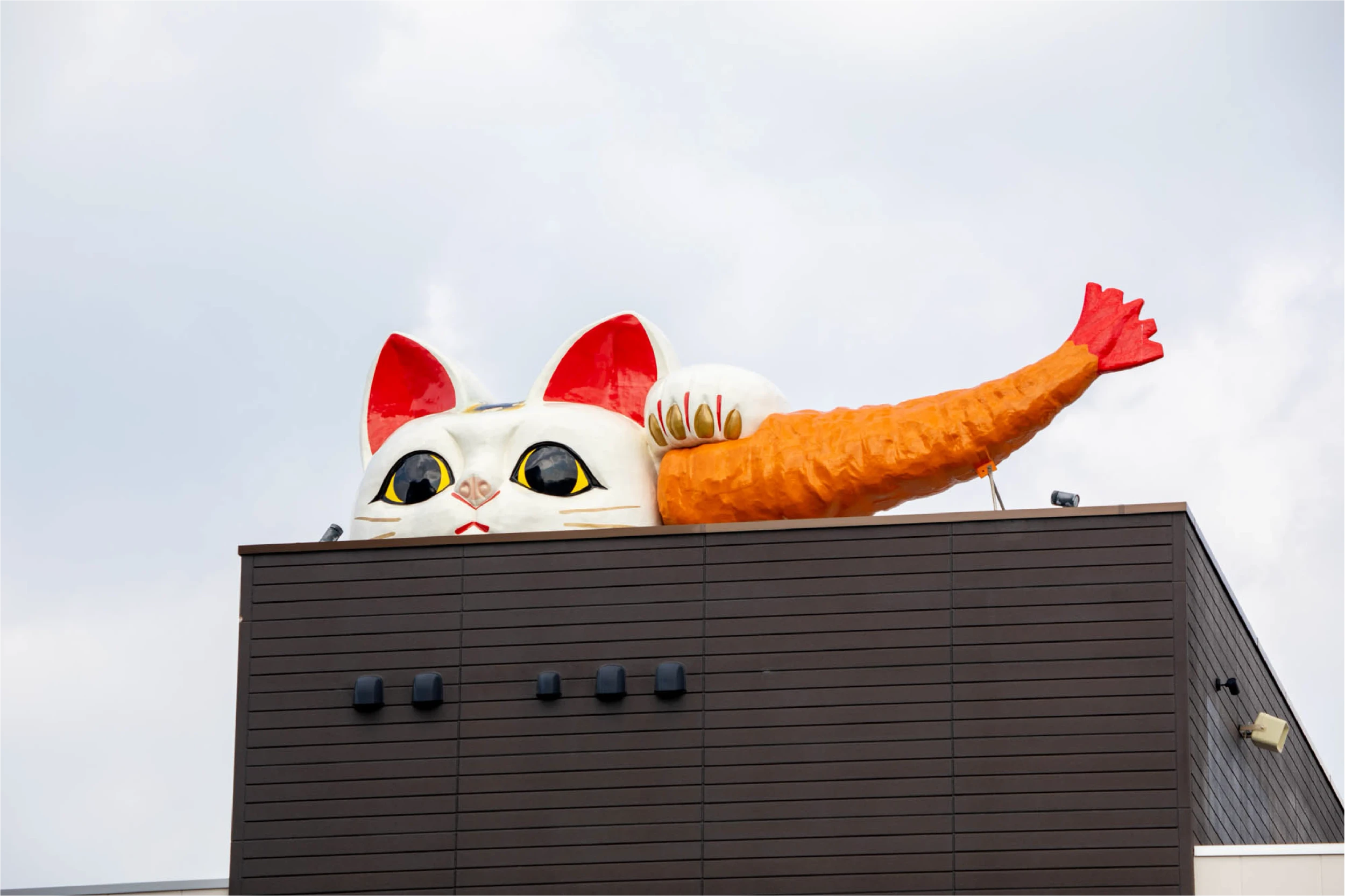 幸運を招く！？ 愛知の常滑市で「招き猫」に出会う旅 | Fa-So-La