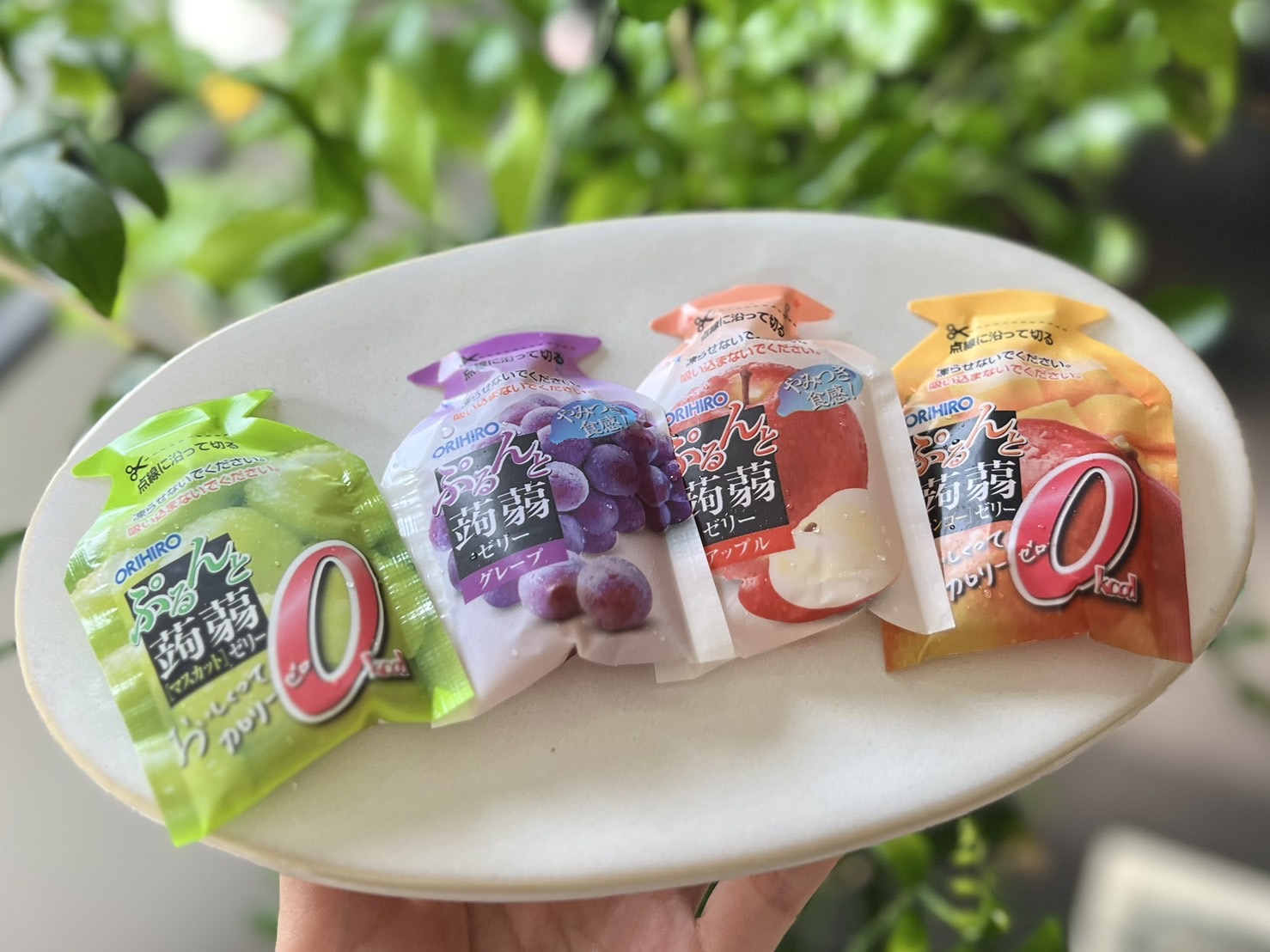japanese jelly orihiro