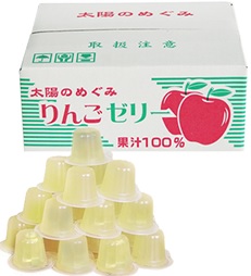 果汁100%ゼリーＢＯＸ りんご味 23粒