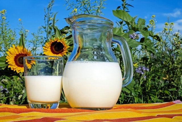 Milk in a pitcher
