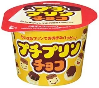 Petit Pudding Chocolate 34g